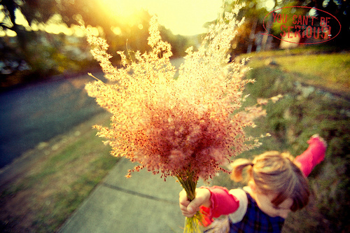 顾城最撩人的情诗,顾城情诗朗诵100首