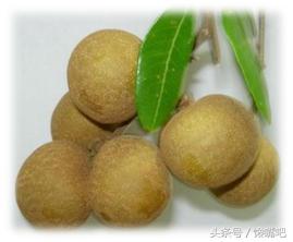 我们平时吃的食物有哪些营养,我们平常吃的食品有多少是没害的