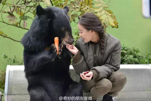 搞人的直播已经腻了,有家直播网站搞起了动物直播