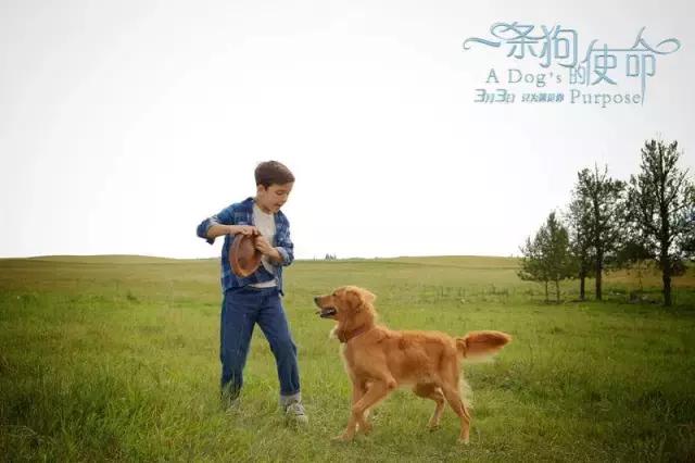 搞人的直播已经腻了,有家直播网站搞起了动物直播