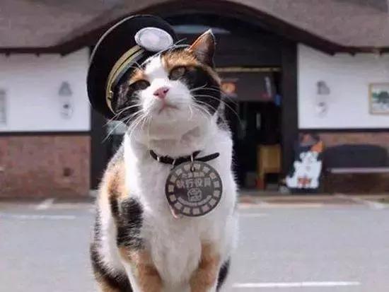 搞人的直播已经腻了,有家直播网站搞起了动物直播