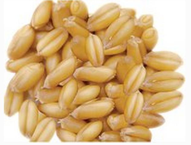 浅谈军粮一(纯干货)