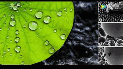 在雨天里装逼，用了这三个黑科技竟然可以不湿身！