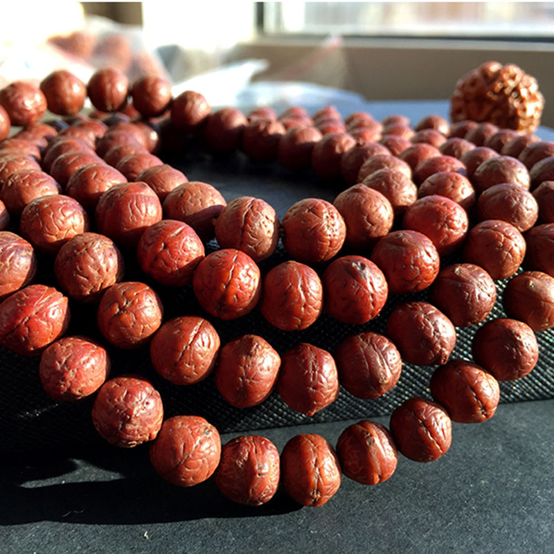 鐙埍鍑ょ溂鑿╂彁,涓栭棿鑿╂彁