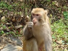 我心中最美的云台山,最美云台山作文