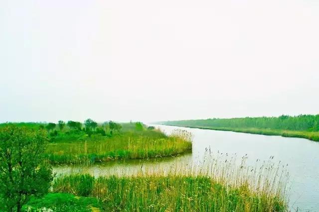 上海周边的绝美海岛,上海附近绝美海岛