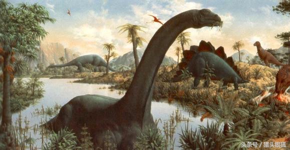 恐龙灭亡真相揭秘,各类恐龙生活的年代及灭亡时间