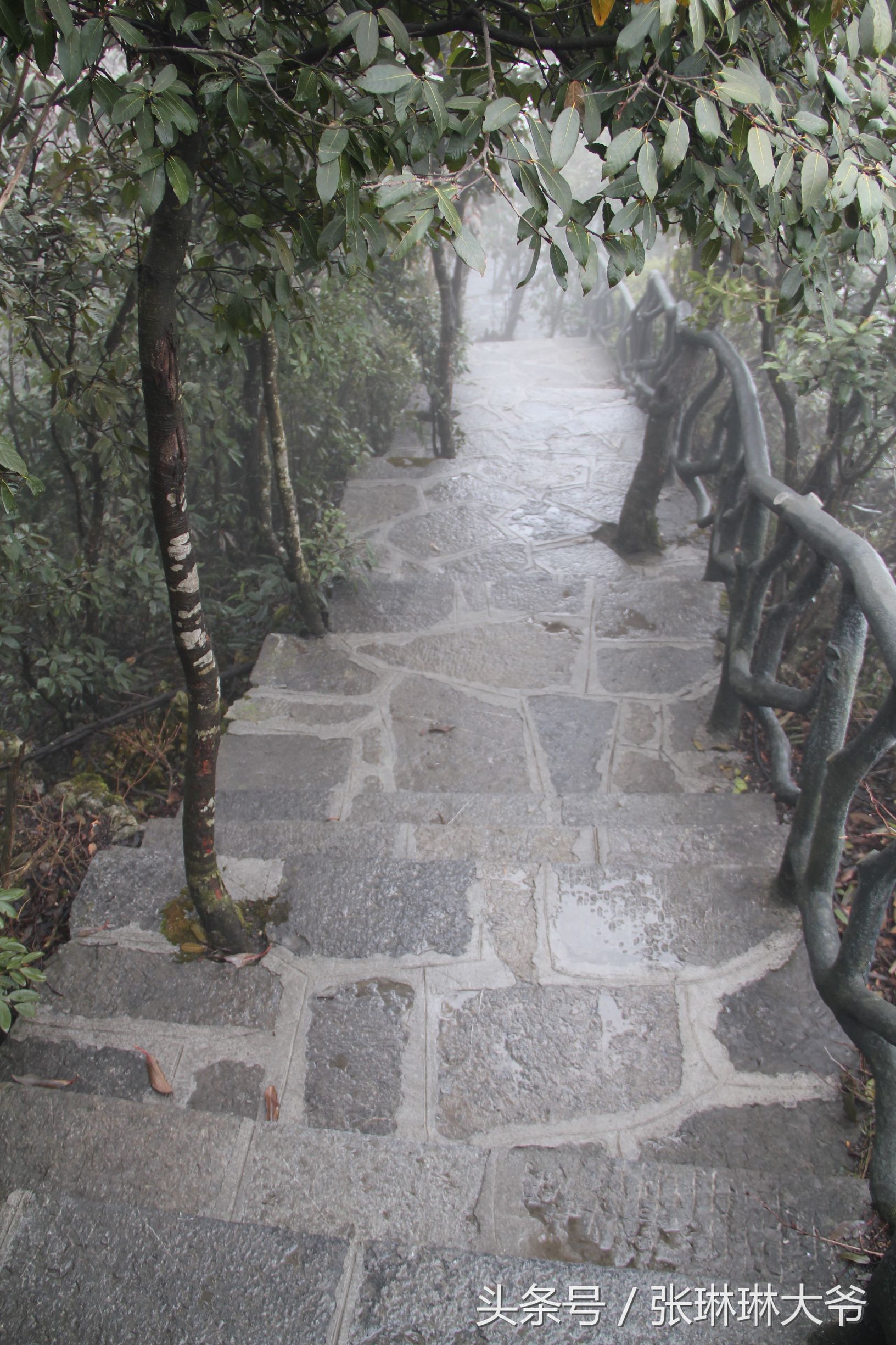 北京姑娘徒步完整视频,北京姑娘旅行