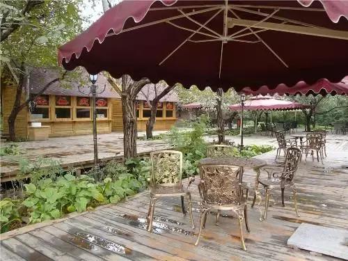 一组张裕爱斐堡酒庄实景图,蓝裕文化