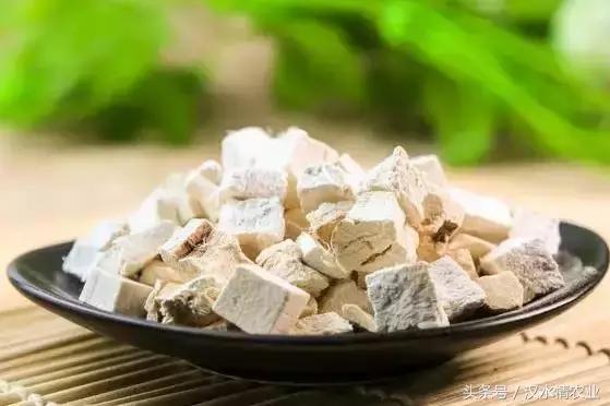 天然的血管支架,被称为血管天然支架的药材是