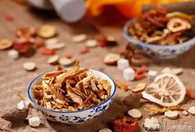 天然的血管支架,被称为血管天然支架的药材是