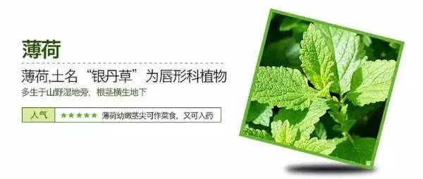 立夏迎接盛夏的方法,立夏后蚊虫多怎么办