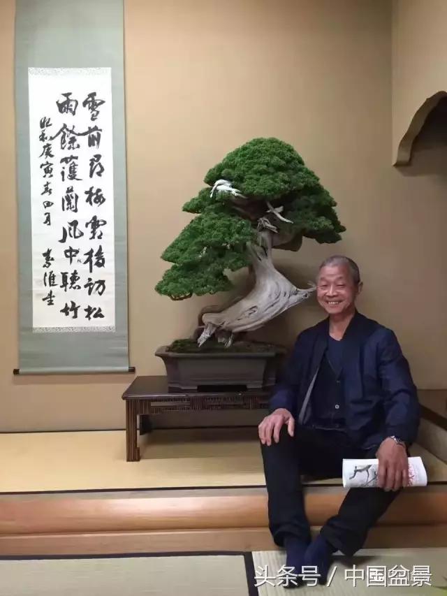 现在什么盆景最有前景,盆景创业未来前景如何