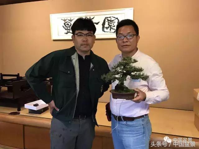 现在什么盆景最有前景,盆景创业未来前景如何