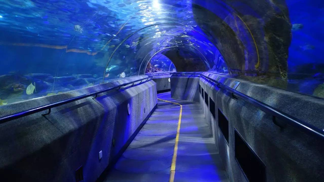 大连东北路有什么好玩的,大连哪里的海岸好玩