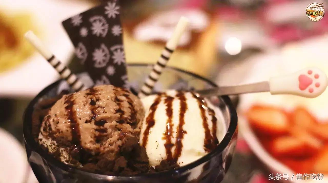 焦作推荐猫咖,焦作新区猫咖