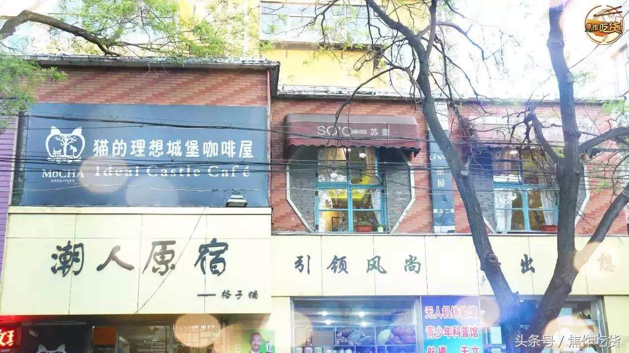 焦作推荐猫咖,焦作新区猫咖