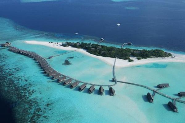 概括珊瑚岛的形成过程,珊瑚岛形成条件及分布规律