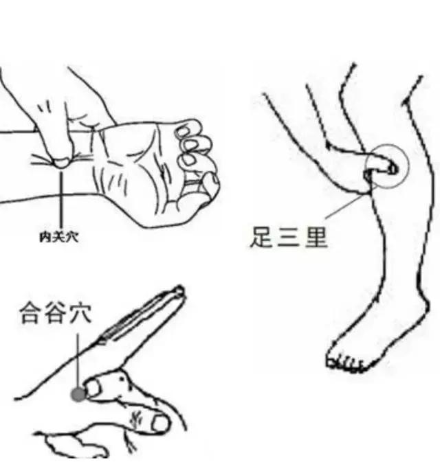 坐车就晕中医辨证,坐车老晕车头晕怎么办