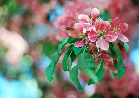 正能量的图片配文字励志,哲理人生经典语录文字图片