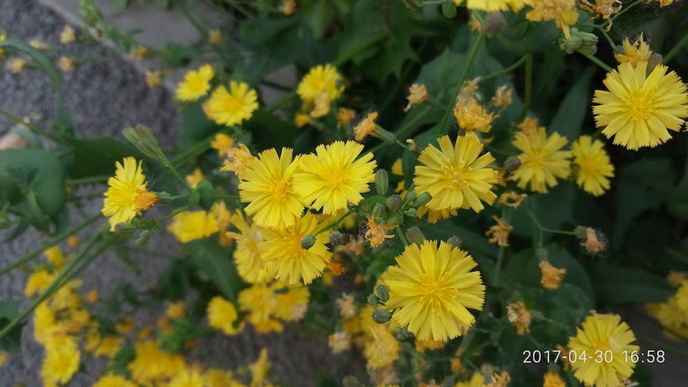 魅蓝e2评测处理器,魅蓝e2流水灯评测
