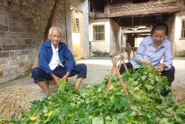 不怕死怕得病,一个人什么都不怕就是怕得病