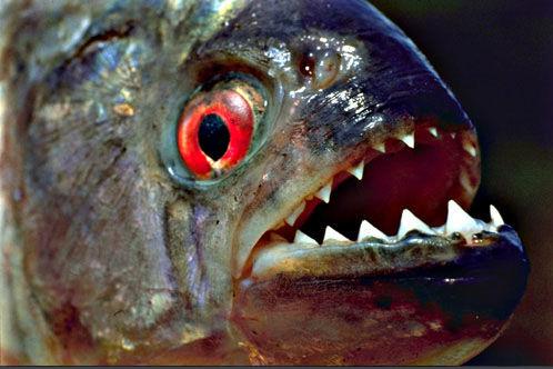 紫霜下(盗墓空间)