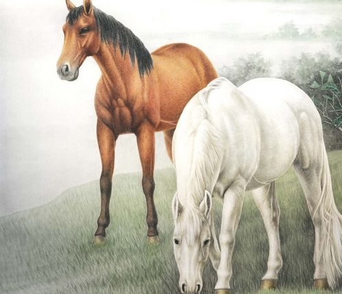 78年属马人今年的事业运势,78年属马男一生运程