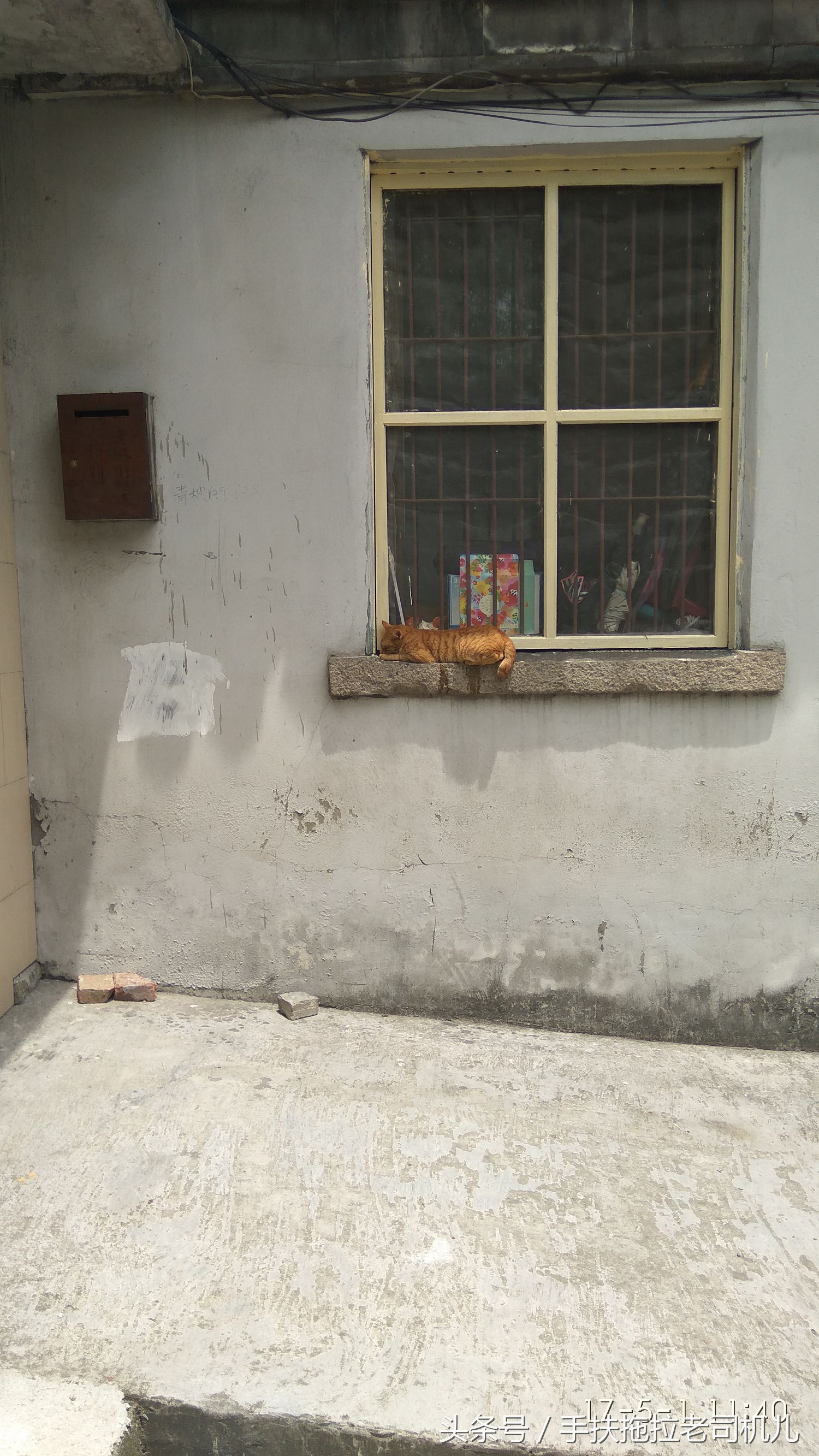 金山枫泾古镇地图,金山枫泾古镇好玩吗值得去吗