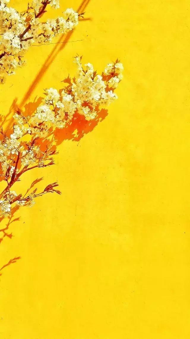 摄友作品点评,4月拍照