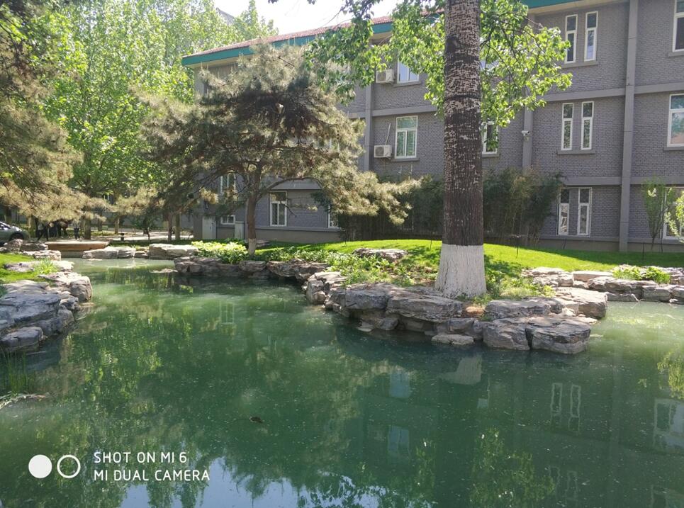 小米6拍照对比,小米6拍照水平