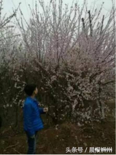 创文明城市特别策划：“我眼中最美春天”随后拍作品7