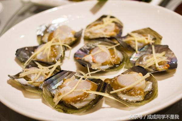 在大海里吃各种各样的海鲜,海边吃海鲜的真实感受