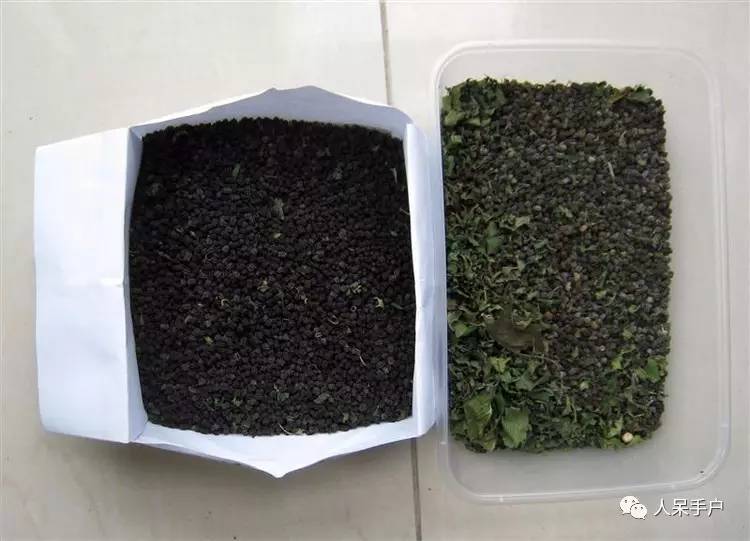 可爱的蚕宝宝怎么做,可爱的蚕宝宝