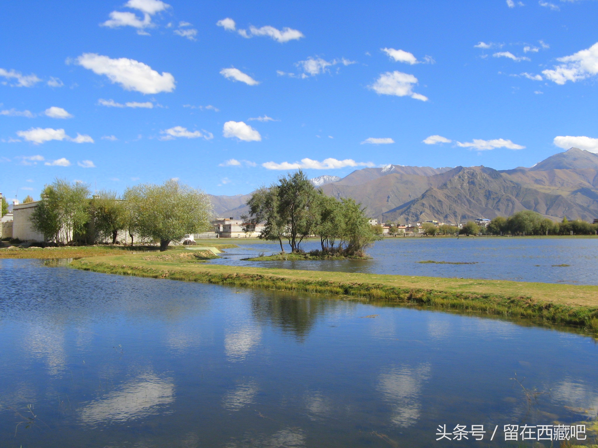 鎷夎惃鍐嶈甯冭揪鎷夊瑙嗛,鎷夎惃鍐嶈钘忔枃璇楁瓕