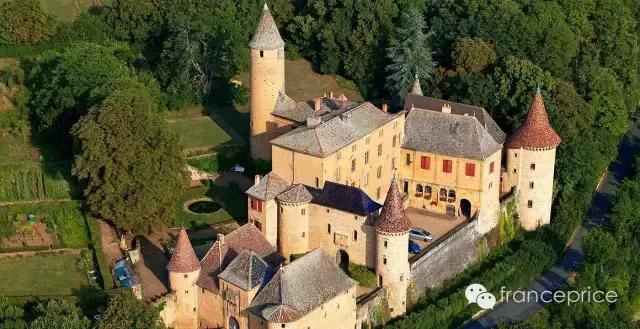 法国博若莱康帝旧桶红酒怎么样,法国2023年博若莱新酒