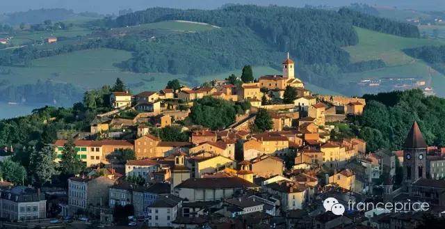 法国博若莱康帝旧桶红酒怎么样,法国2023年博若莱新酒