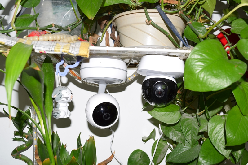 随时随地尽享音箱,随时随地远程监控