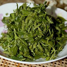 杨柳絮有哪些缺点不足及危害,杨柳絮是怎么造成的