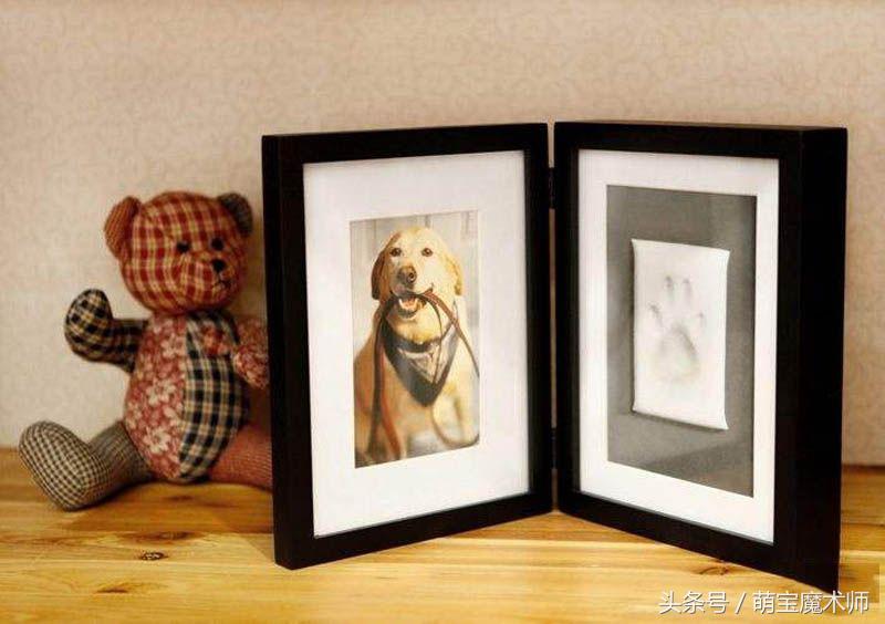 宝宝成长过程爸妈不能缺席,宝宝每一次成长都不会缺席