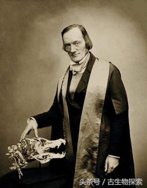 蓝鲸远远超过体型最大的恐龙,海怪的鲸龙视频