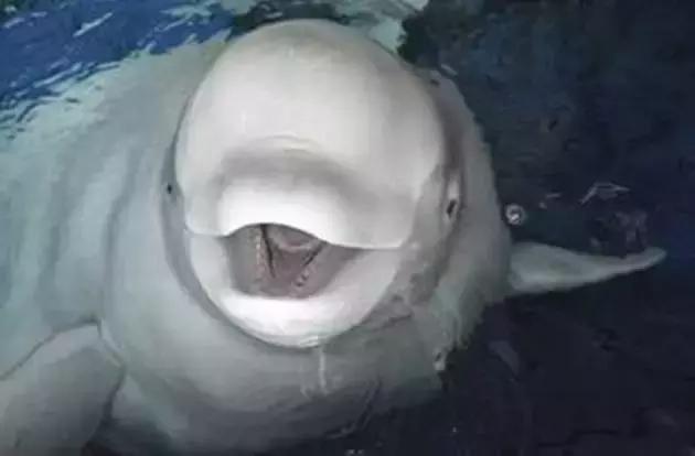 世界最美的四大海,世界最美十大海排名