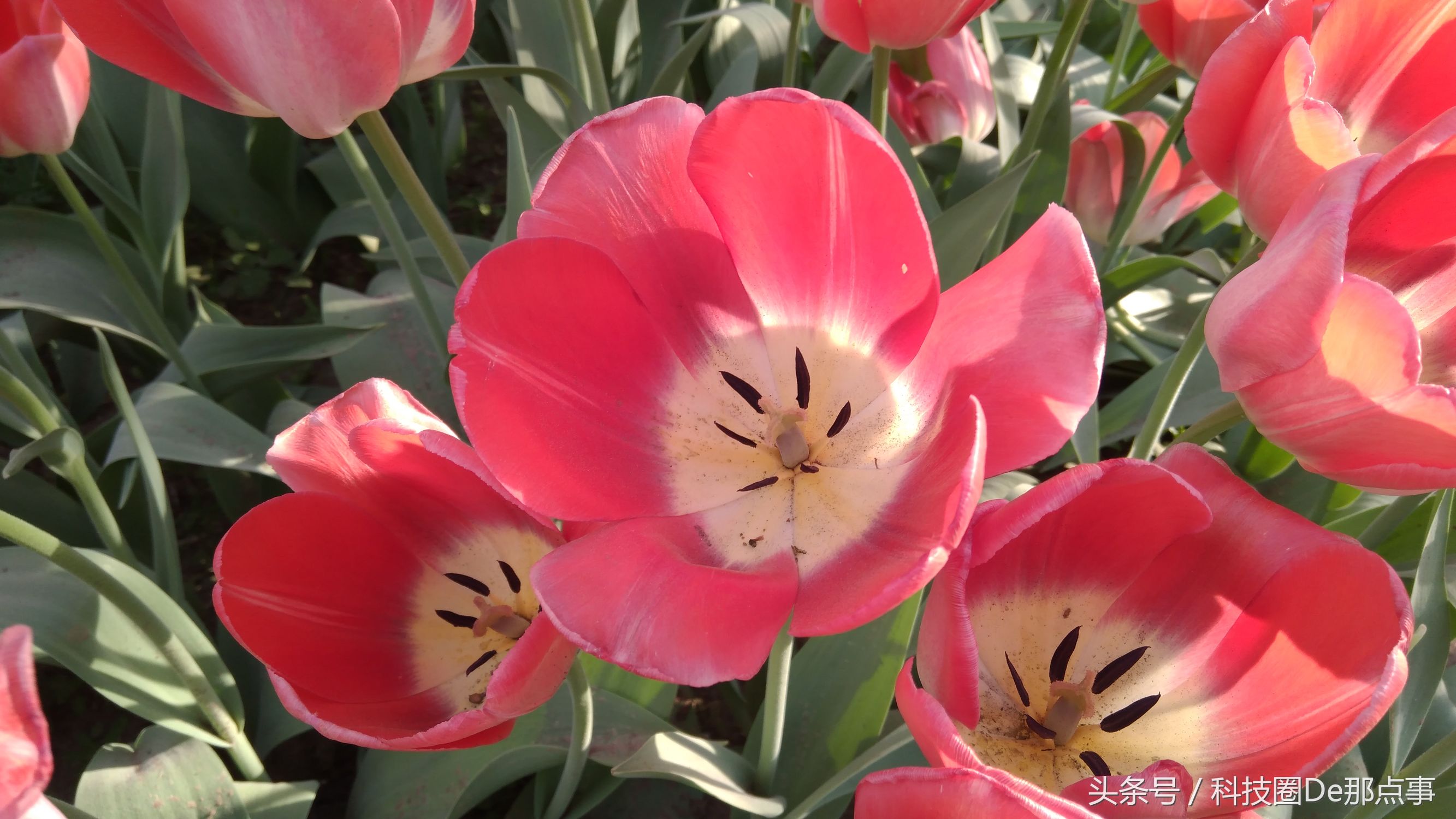 诺基亚nokia6优缺点,诺基亚nokia6值得买吗