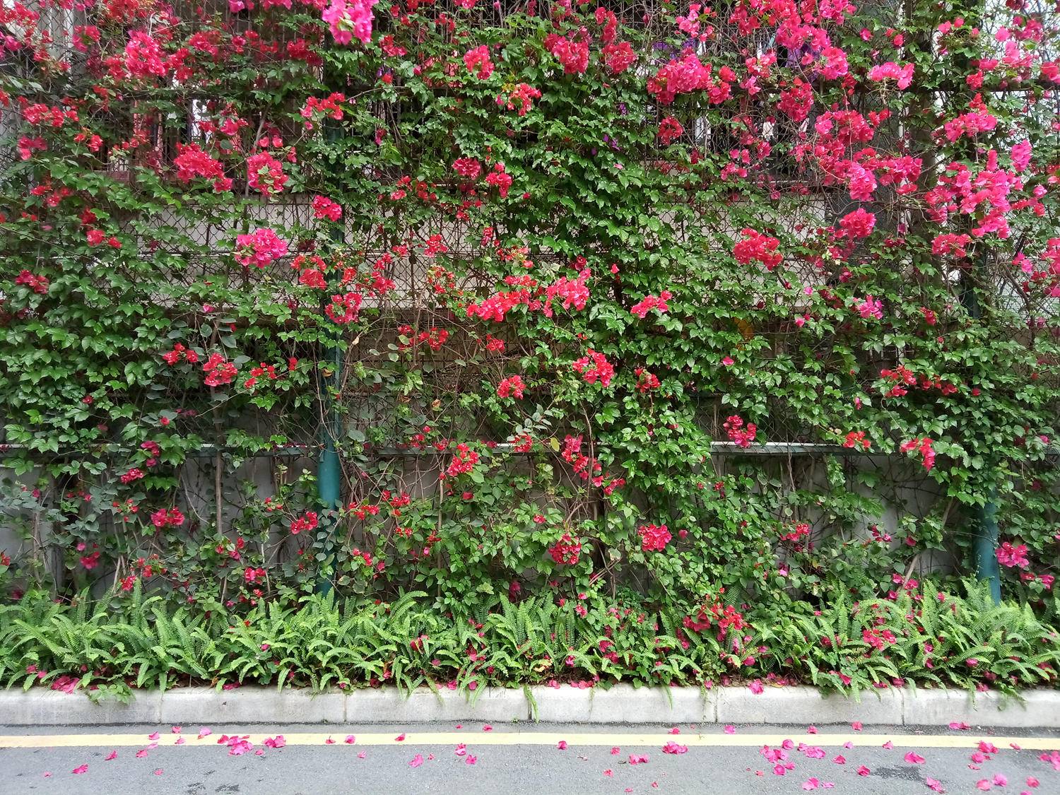 魅蓝e2最好用的系统版本,魅蓝E2测评