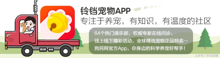 针梳拉毛 (针梳拉毛出红点子怎么办)