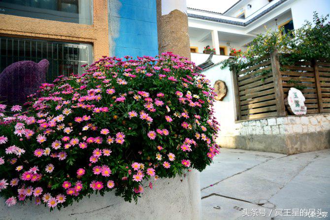 云南小伙租车游云南,云南自驾七日游最全攻略