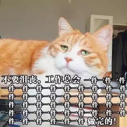 误删万字长文,凌晨哭着重写|42个新媒体人的最惨故事