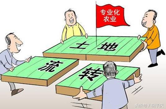 现在土地流转都多少钱一亩,土地流转一般有多少钱一亩