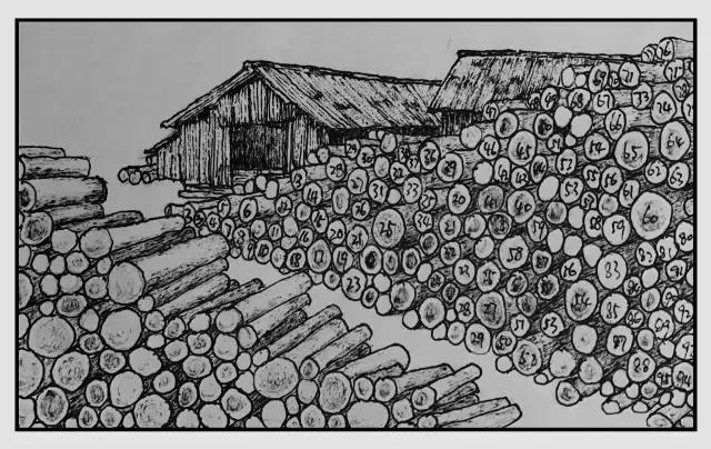 插画师迷狸：路过，停留