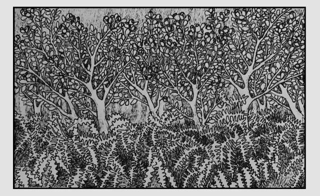 插画师迷狸：路过，停留